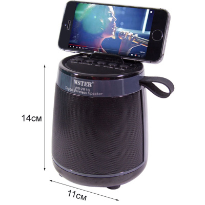 Колонка портативная Wster WS-2816  grey orig