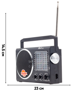FP-819 черный 1 1с