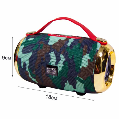 Колонка портативная Wster WS-1830  хаки orig