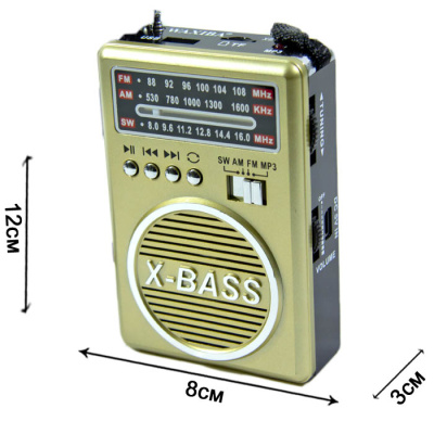 XB462 gold