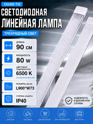 L1009