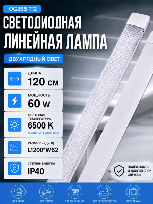 L1006