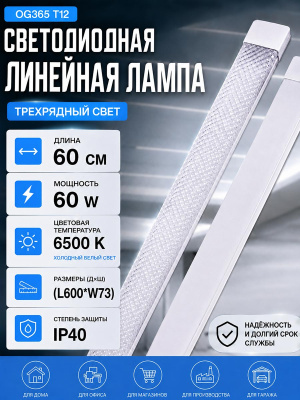 L1007