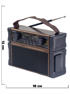 M1238BTSc1s