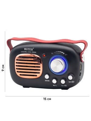 2. WSTER WS-1839  с размерами 4.3