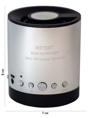 2. WSTER-633 SILVERс размерами