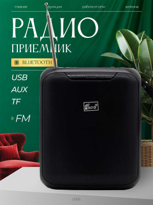ST-FP369Sblack
