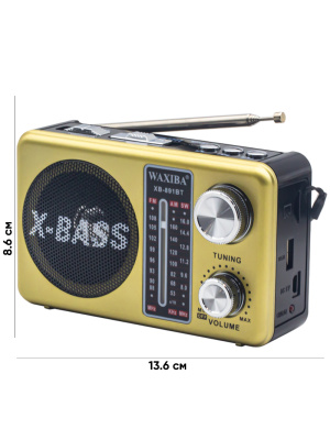 XB-891BT GOLD 1C