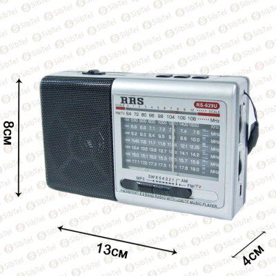 RS-629 silver