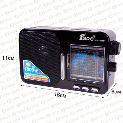 Радиоприемник EPE FP-1821U black