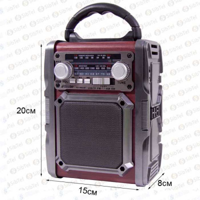 Радиоприемник RSDO RD-066U  red
