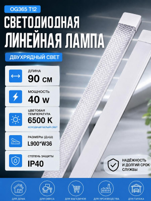 L1004