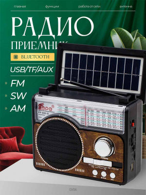 ST-FP602Sbrown
