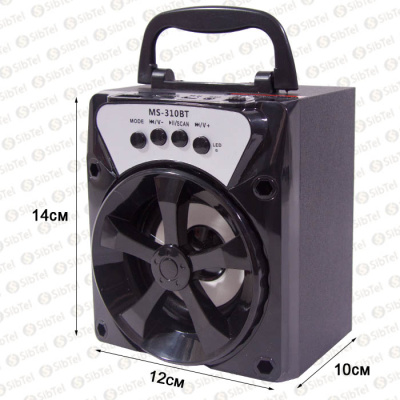 MS-310 BT black
