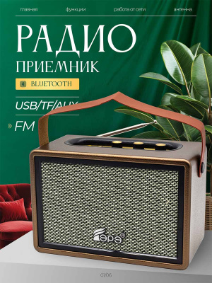 ST-FP530Sbrown