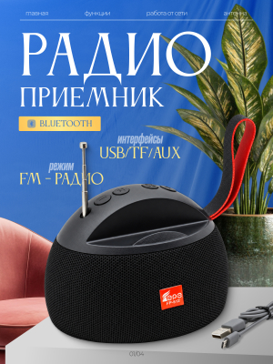 Радиоприемник EPE FP-512 черный