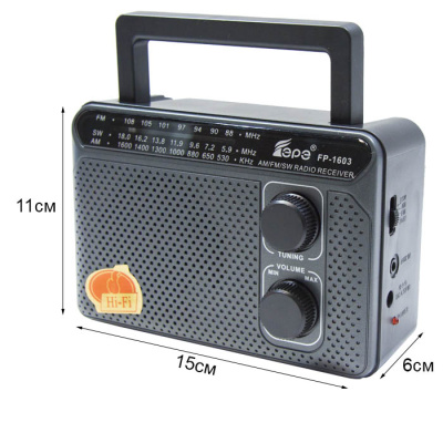 Радиоприемник EPE FP-1603 silver