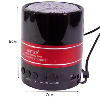 Колонка портативная Wster WS-2901