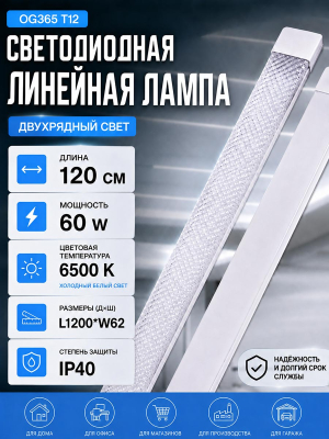 L1006