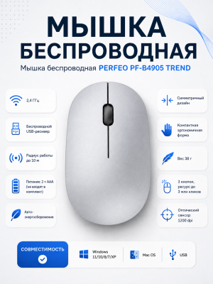 ST-PF-A4906silver