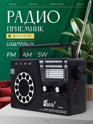 ST-FP826black