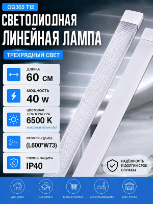 L1008