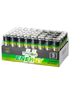 Трофи AA LR6 (40S) bulk