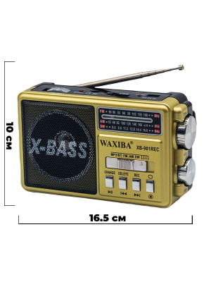 XB901RECc1g