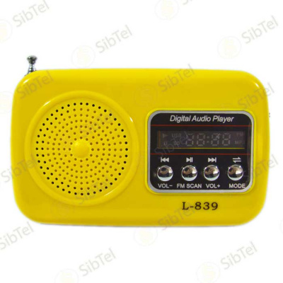 L839 yellow