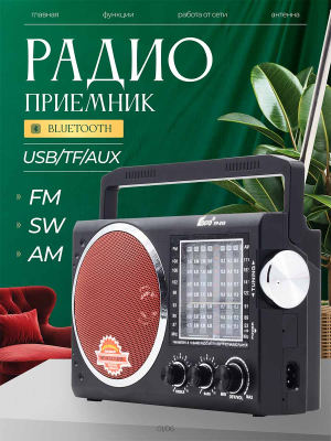 ST-FP819red