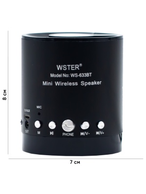 2. WSTER-633 BLACK с размерами 4.3