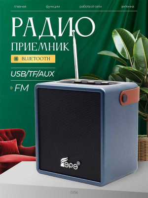 ST-FP533Sblue