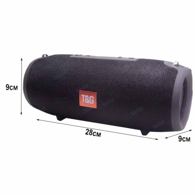 Колонка портативная T&G TG118 black