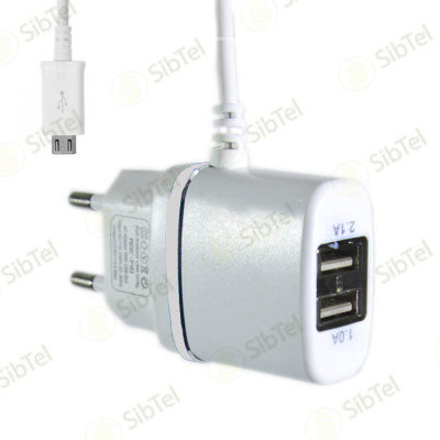 ADC F10 silver