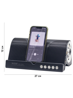 2. WSTER WS-1601  с размерами 4.3