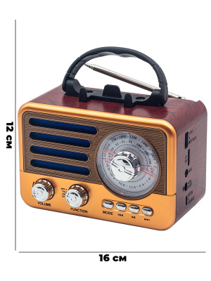 R-137BT GOLD 1