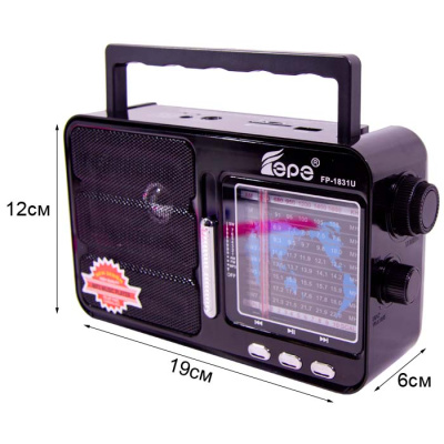 Радиоприемник EPE FP-1831U black