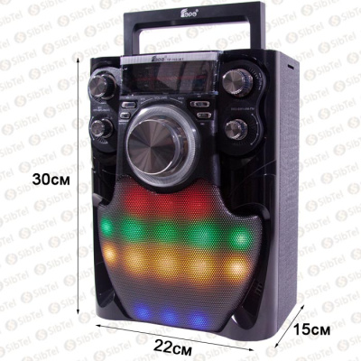 Радиоприемник EPE FP-1653  black