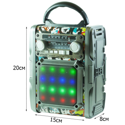 Радиоприемник RSDO RD-066U  graffiti