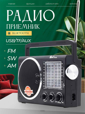 ST-FP819black