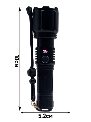 S124 1