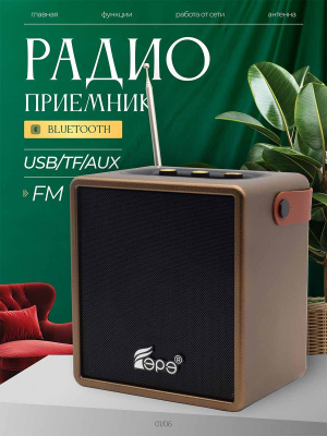 ST-FP533Sbrown
