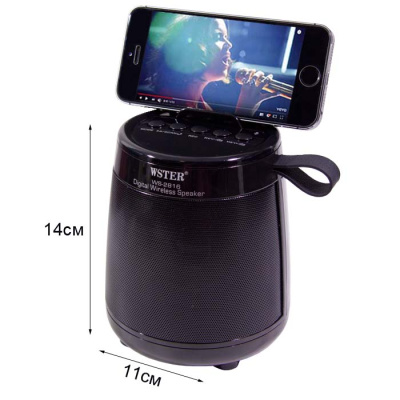 Колонка портативная Wster WS-2816  black orig