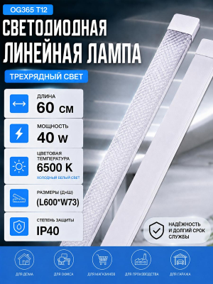 L1008