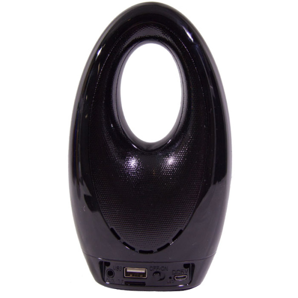 Колонка портативная Wster WS-1829  black orig-2