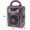 Радиоприемник RSDO RD-065U  red