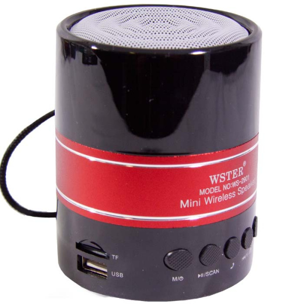 Колонка портативная Wster WS-2901-2
