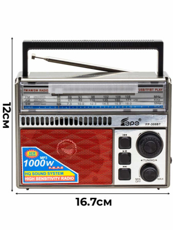 FP-308BT R 1