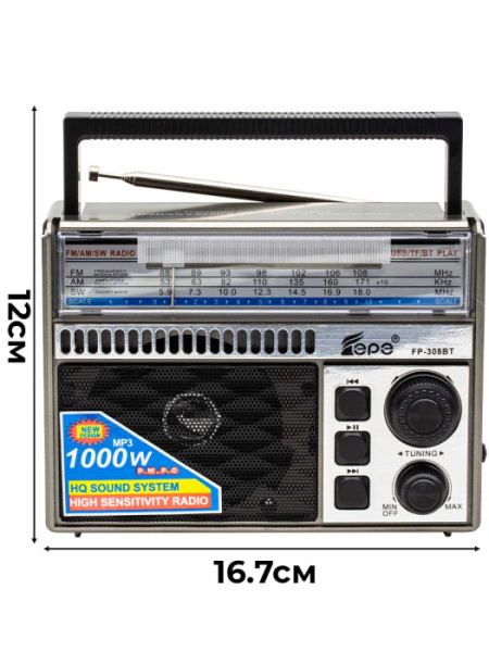 FP-308BT B 1