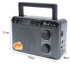Радиоприемник EPE FP-1603 silver